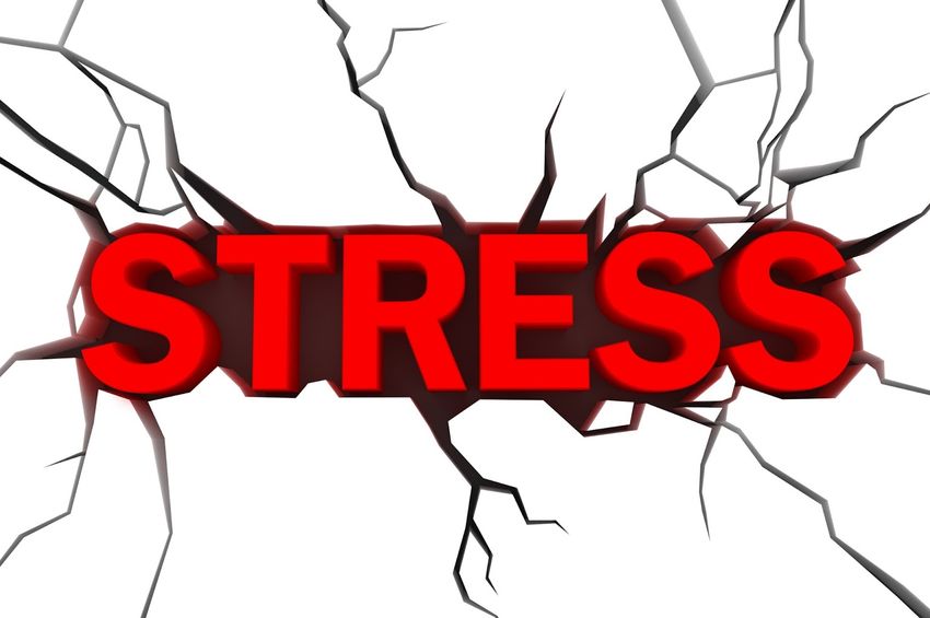 Stressdan ehtiyot bo39ling trening -  